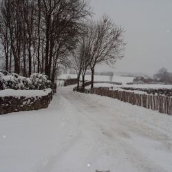 Winter op de boerderij