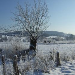 Winter op de boerderij