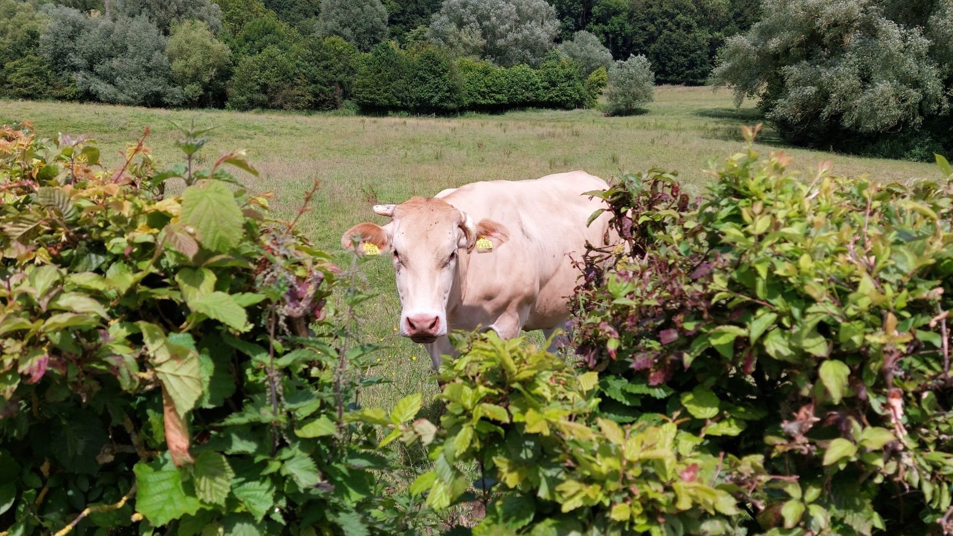 Natuurvriendelijk boeren