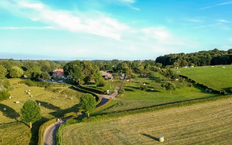 Op vakantie in Limburg met uitzicht over het Geuldal